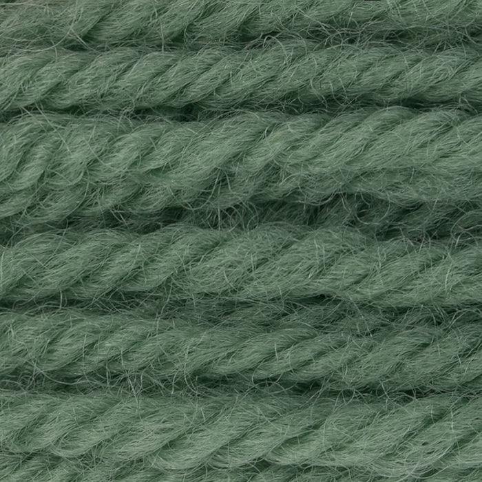 DMC Tapestry Wool Color 7404