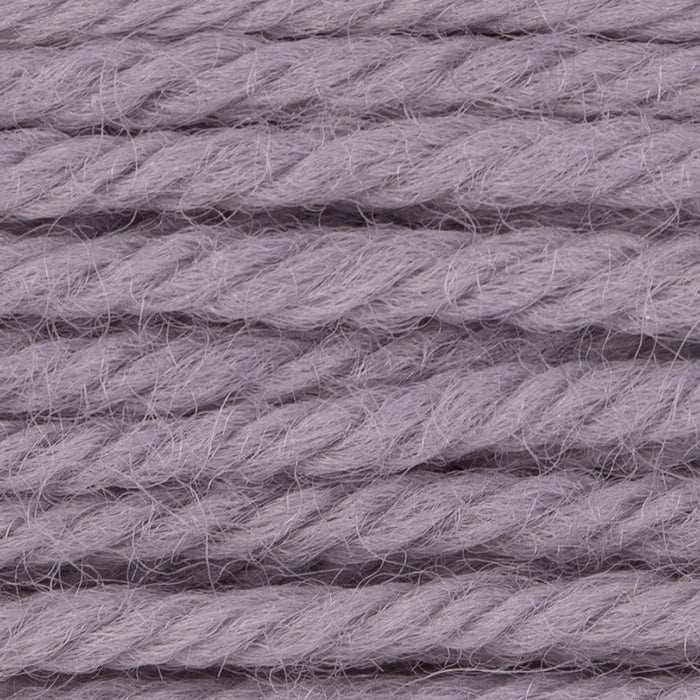 DMC Tapestry Wool Color 7558