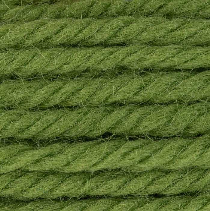 DMC Tapestry Wool Color 7769