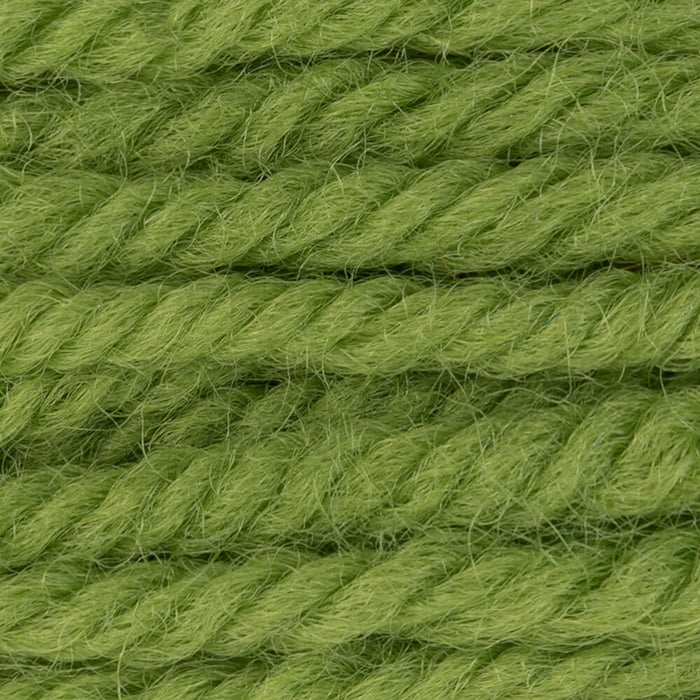 DMC Tapestry Wool Color 7770