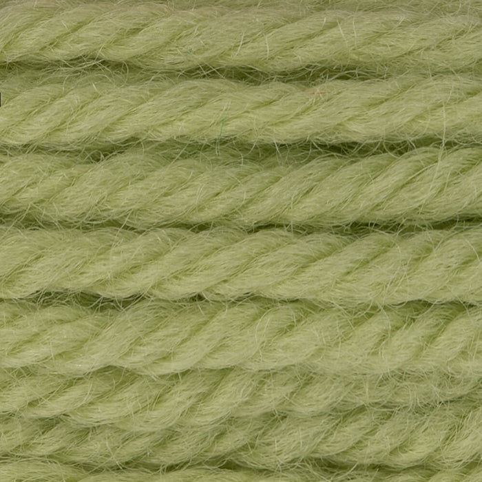 DMC Tapestry Wool Color 7780