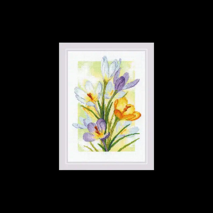 Cross Stitch Kit Riolis - "SPRING GLOW. CROCUSES" 21X30 SR2190