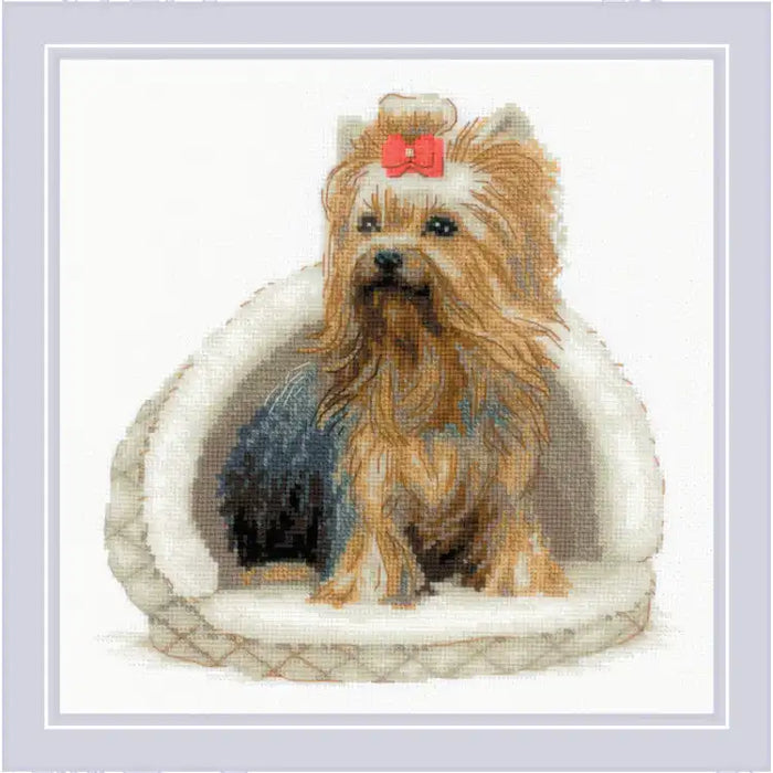 Cross Stitch Kit Riolis - YORKSHIRE TERRIER 25X25 SR2152