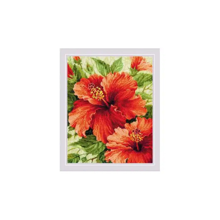 Cross Stitch Kit Riolis - HIBISCUS SR1967
