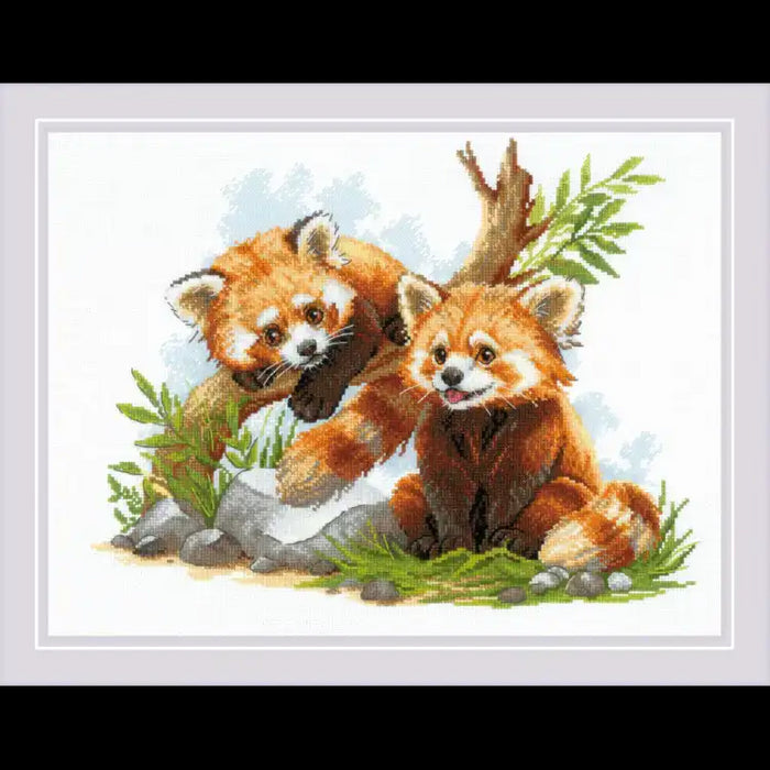 Cross Stitch Kit Riolis - RED PANDA CUBS 40X30 SR2257