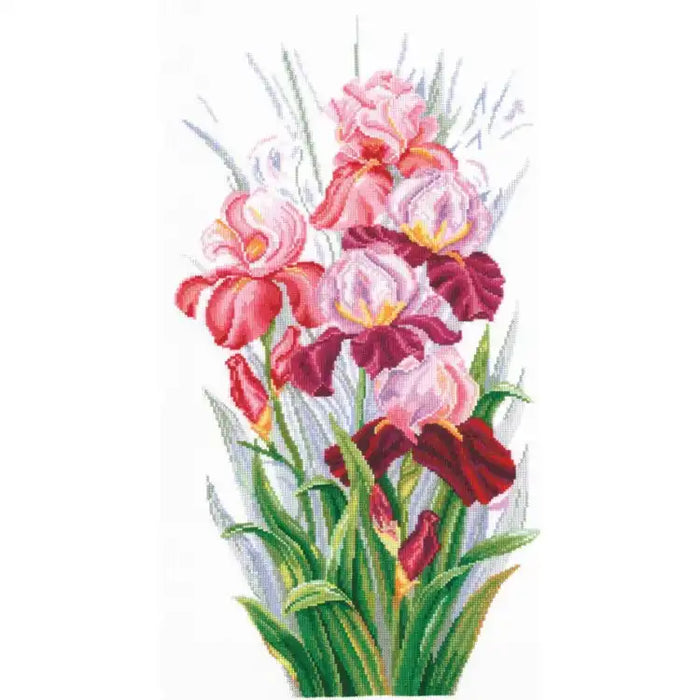 Cross Stitch Kit Andriana - TRIUMPH OF IRISES SANT-14