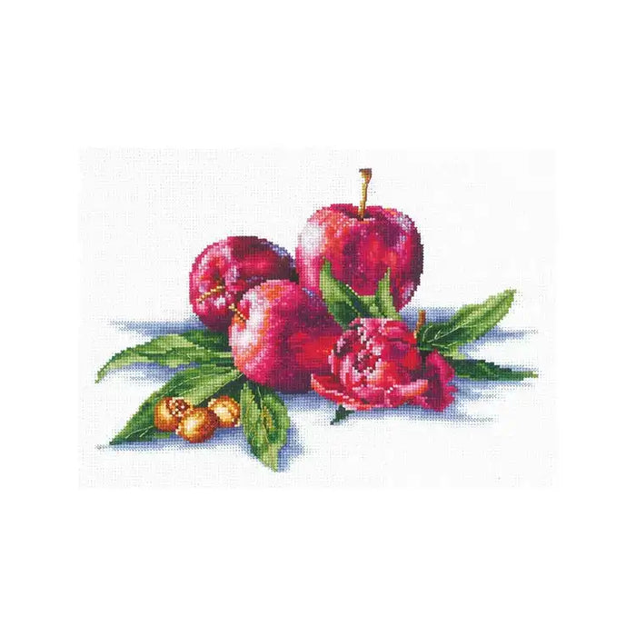 Cross Stitch Kit Andriana - APPLES AND HAZELNUT SANYA-03