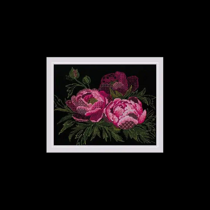 Cross Stitch Kit Riolis - LACE PEONIES SR2024