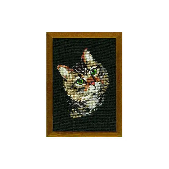 Cross Stitch Kit Riolis - GREY CAT 766