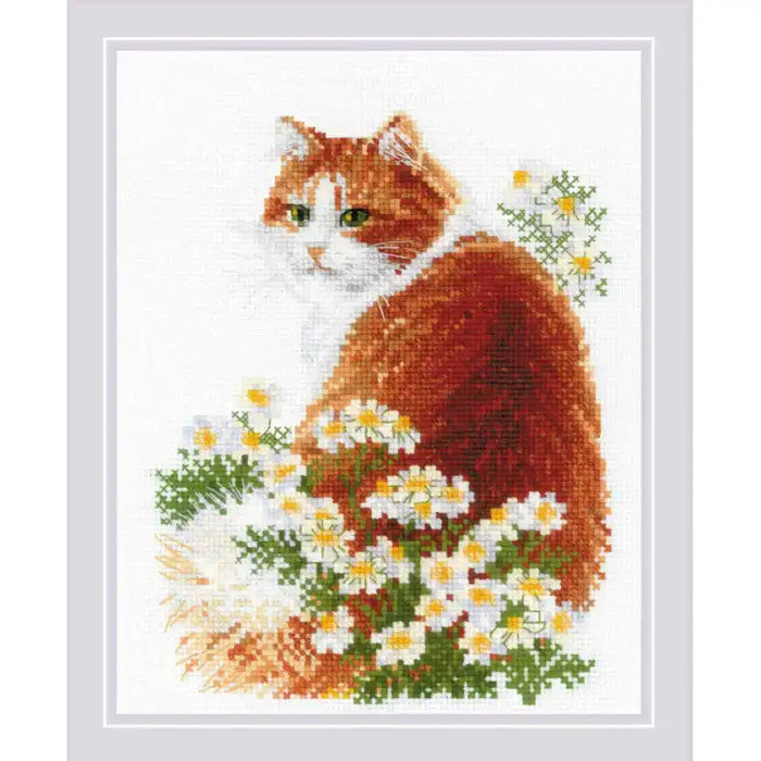 Cross Stitch Kit Riolis - GINGER MEOW 24X30 SR2110