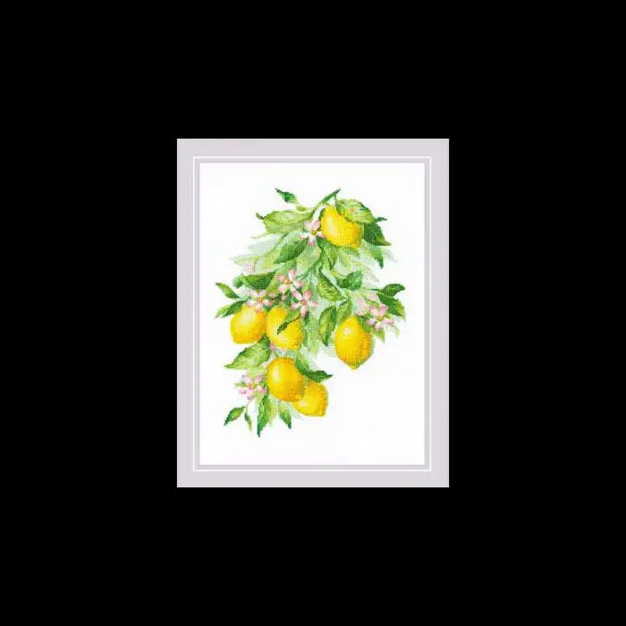 Cross Stitch Kit Riolis - LEMONS 30X40 SR2054