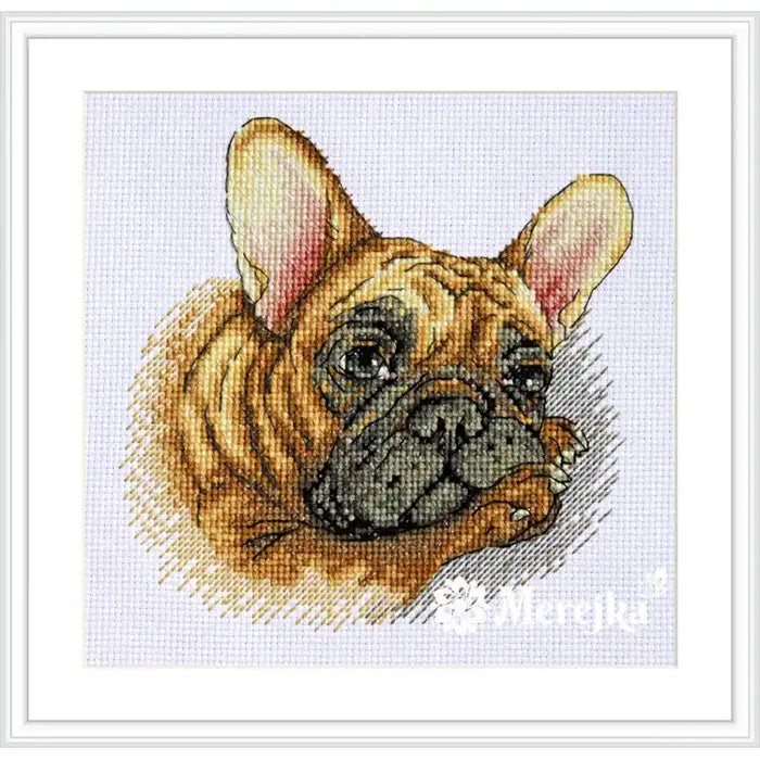 Cross Stitch Kit Merejka - FRENCH BULLDOG SK114
