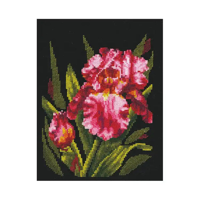 Cross Stitch Kit Andriana - VELVET IRIS SANB-15