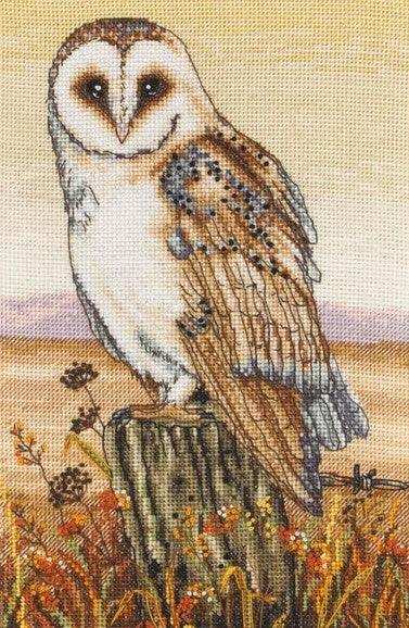 Cross Stitch Kit Anchor - Owl Horizon Cross Stitch Kits - HobbyJobby
