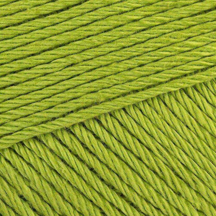 kiwi 205 Scheepjes_Yarn - HobbyJobby