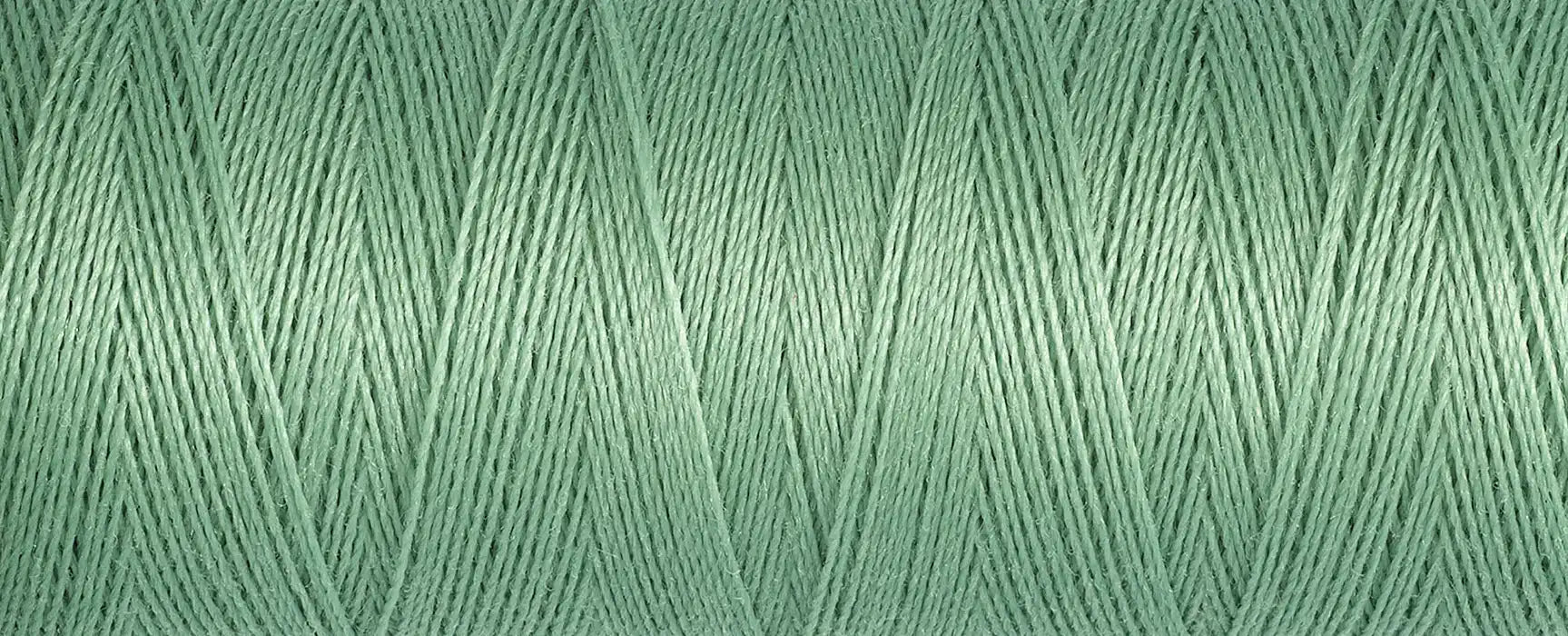 Sew-All Thread: 100m: Color - 913
