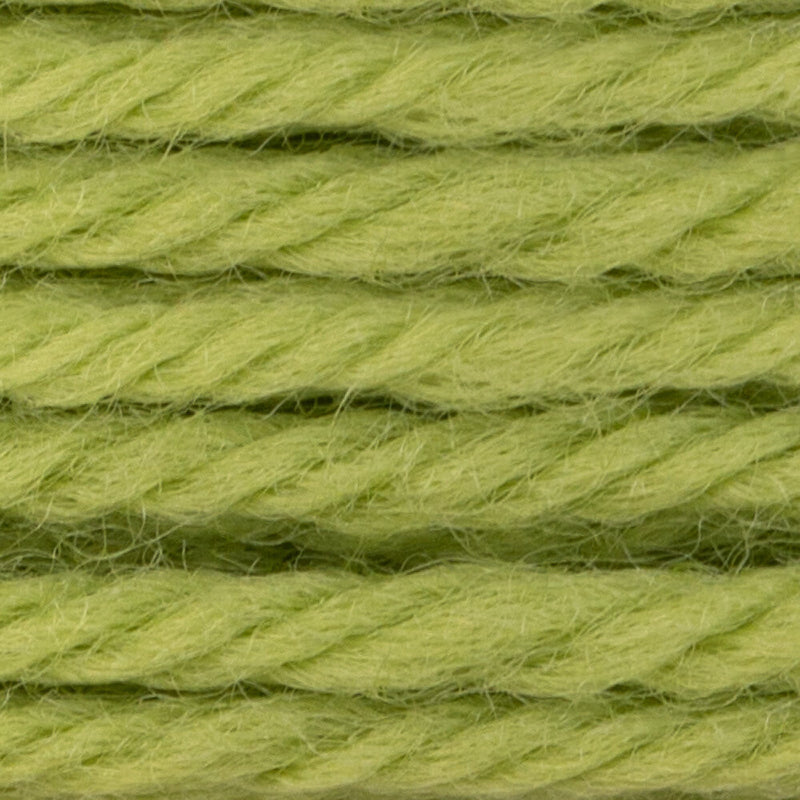 DMC Tapestry Wool Color 7548