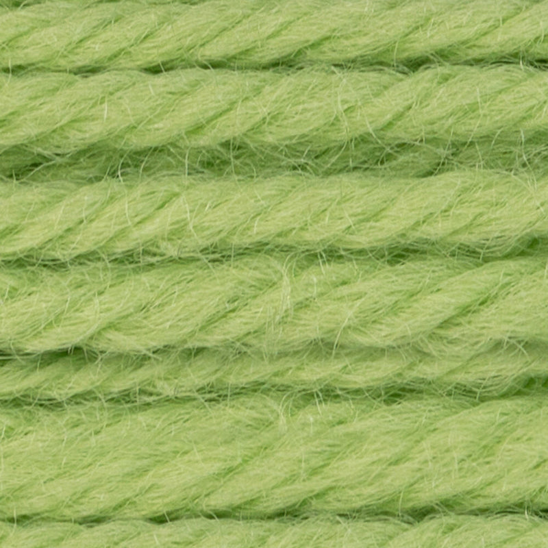 DMC Tapestry Wool Color 7771