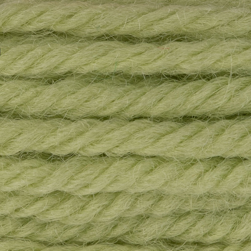 DMC Tapestry Wool Color 7780
