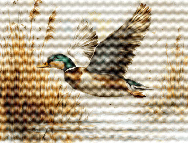 Cross Stitch Kit Luca-S GOLD - Golden Flight, B730