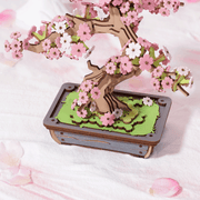 Sakura Bonsai
