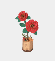 Red Camellia