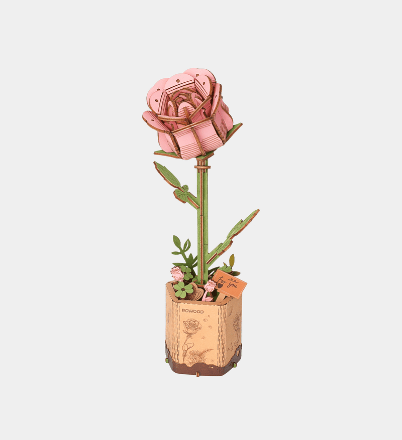 Pink Rose