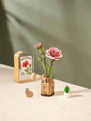 Pink Carnation