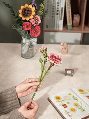 Pink Carnation