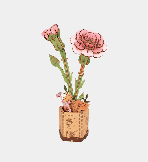 Pink Carnation