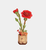 Red Carnation