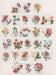 Alphabet Floral Sampler Cross Stitch Kit By Anchor Cross Stitch Kits - HobbyJobby