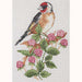 Anchor Starter Cross Stitch Kit - AK141, Goldfinch & Berries Cross Stitch Kits - HobbyJobby