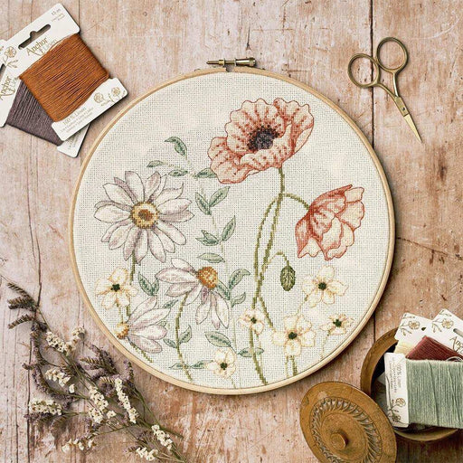 Anchor Starter Cross Stitch Kit - ALXE003, Anchor Cross Stitch Kits - HobbyJobby