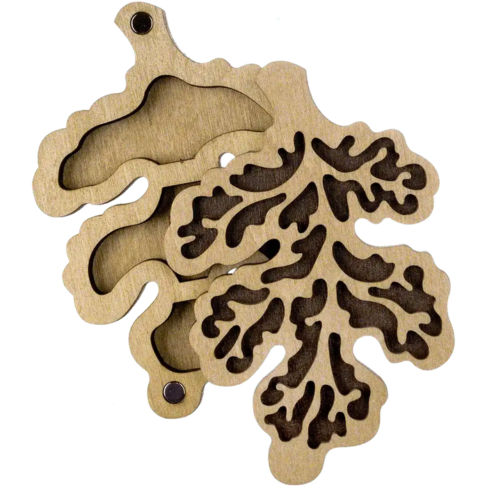 Bead organizer with wooden cover FLZB-102 Wonderland Crafts Bead Organizers - HobbyJobby