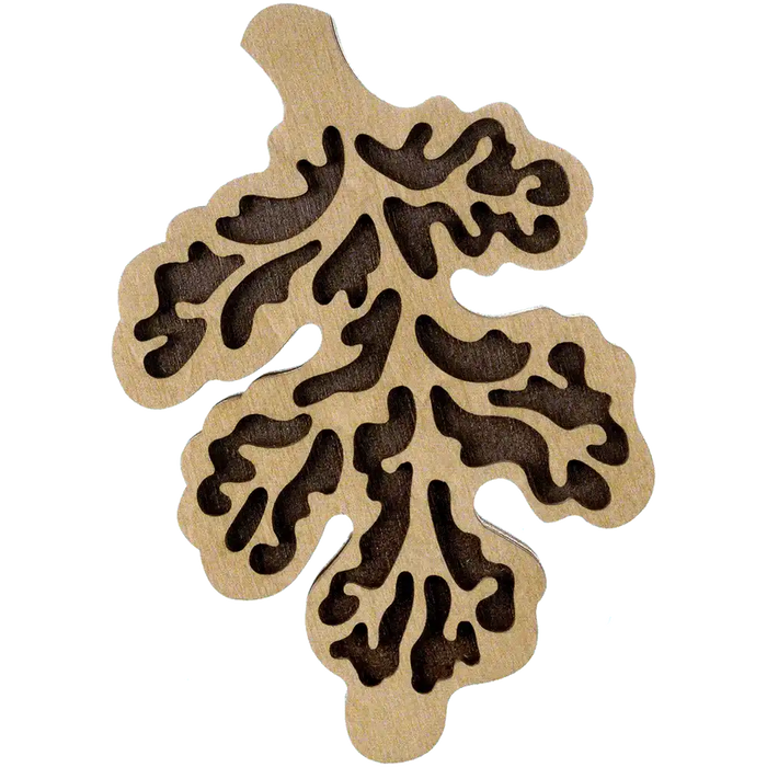 Bead organizer with wooden cover FLZB-102 Wonderland Crafts Bead Organizers - HobbyJobby