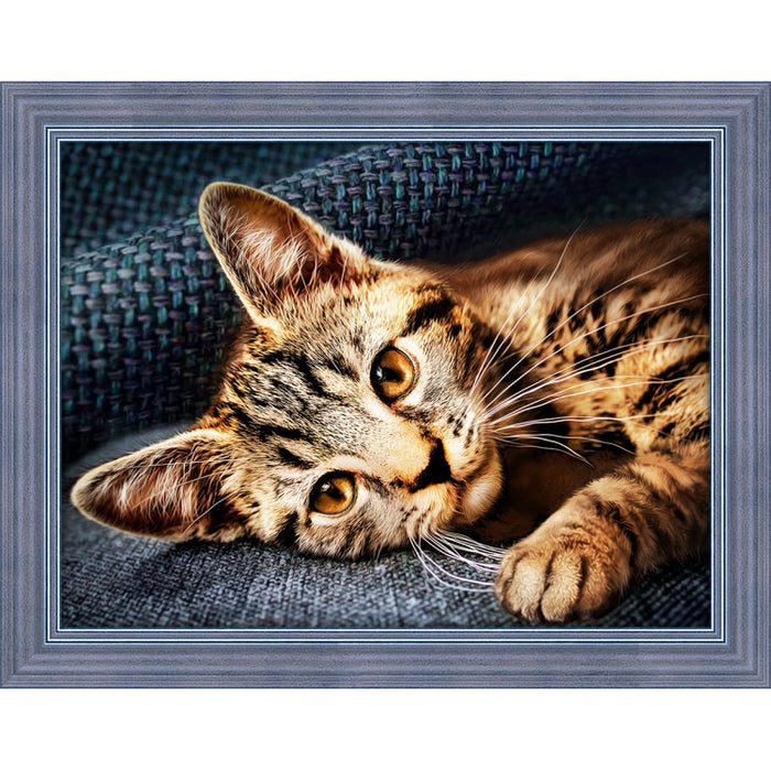 Diamond Painting Kit - CAT BARSIK 40X30 CM AZ-1700
