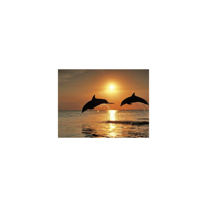 Diamond Painting Kit - PLAYING DOLPHINS 40X30 CM AZ-1089