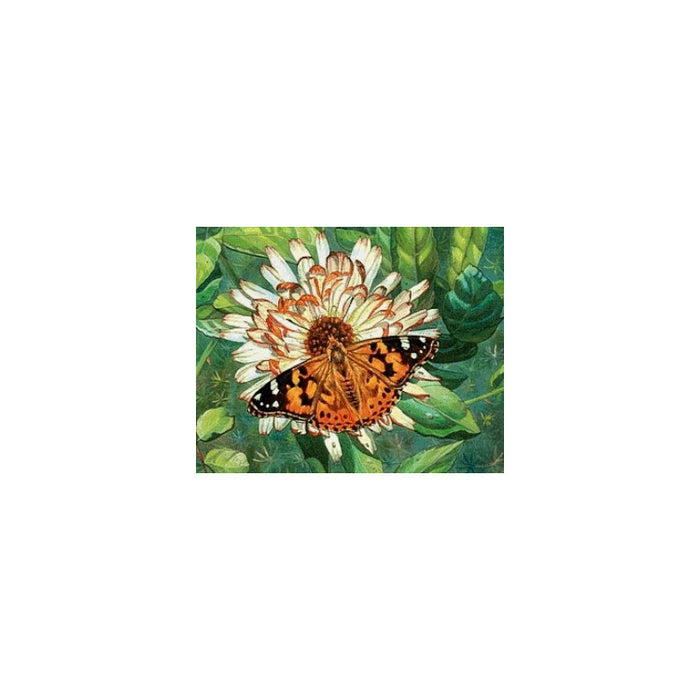 Diamond Painting Kit - BUTTERFLY ON THE FLOWER 50_40 CM AZ-1205
