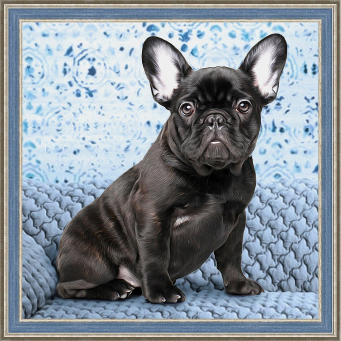 Diamond Painting Kit - BULLDOG 40_40 CM AZ-1459