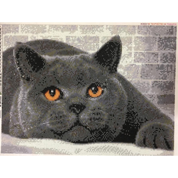 Diamond Painting Kit - BRITISH CAT 40_30 CM AZ-1463