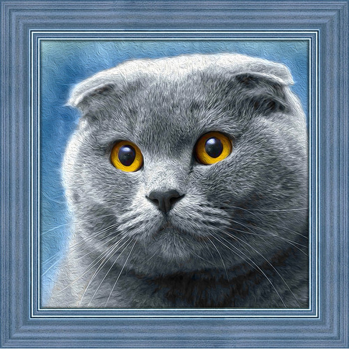 Diamond Painting Kit - CAT 25_25CM AZ-1619