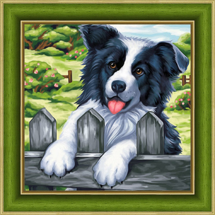 Diamond Painting Kit - "BORDER COLLIE 25_25 CM" AM1609