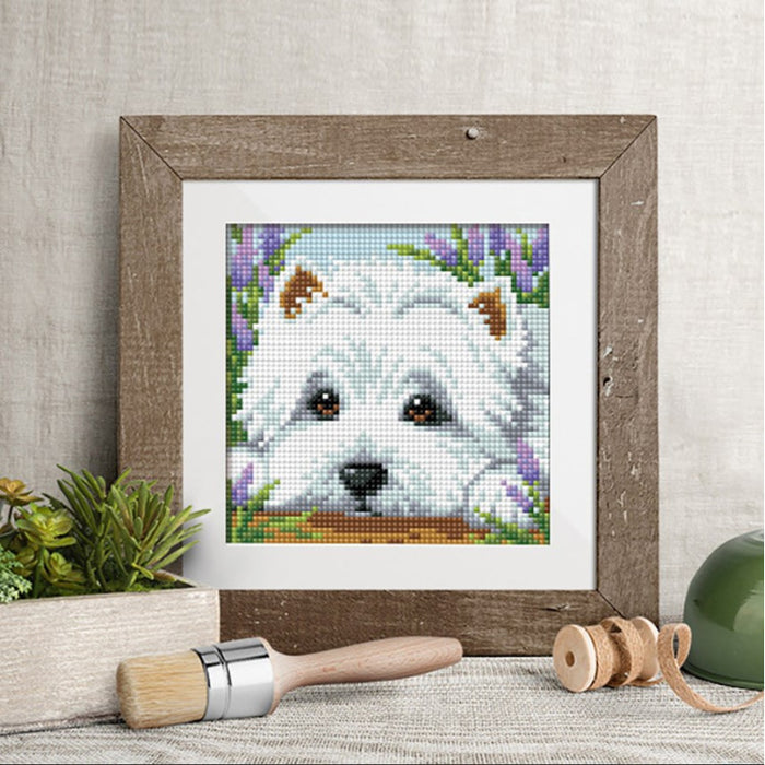 Diamond Painting Kit - HIDE AND SEEK IN CLOVER 15*15 CM AM1639