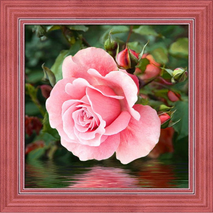 Diamond Painting Kit - ROSE ON THE WATER 25*25 CM AM1704