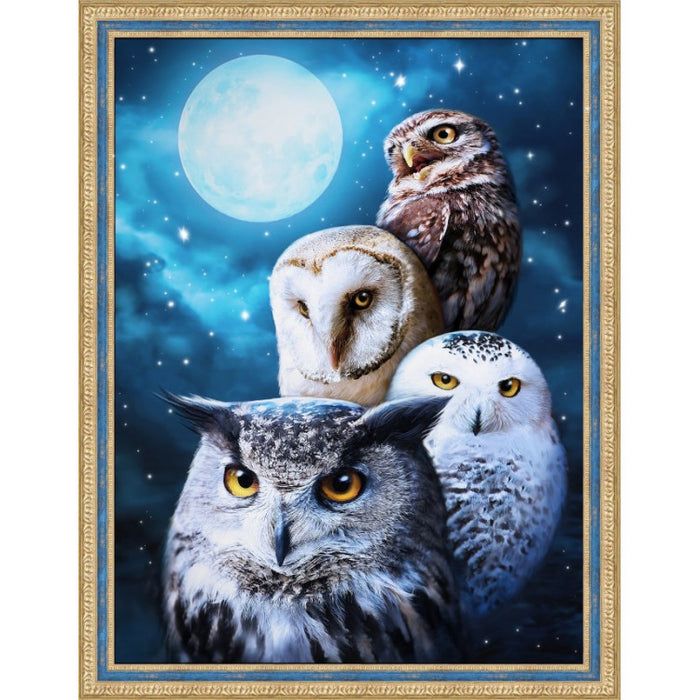 Diamond Painting Kit - NIGHT OWLS 30*40 CM AM1738