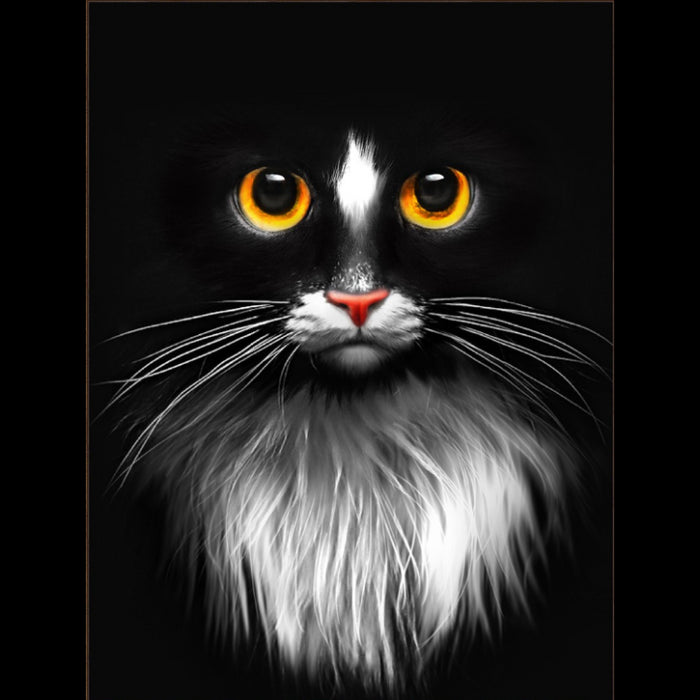 Diamond Painting Kit - "BLACK CAT" 30_40 AM1899