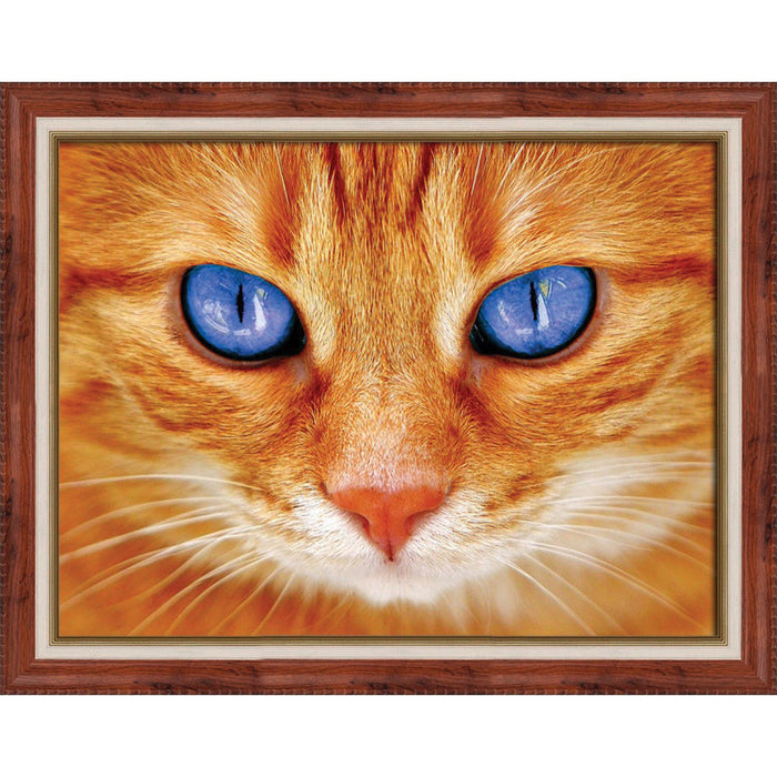 Diamond Painting Kit - BLUE-EYED CAT 40_30 CM AZ-1716