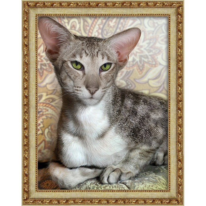 Diamond Painting Kit - ORIENTAL SHORTHAIR 30X40 CM AZ-1728
