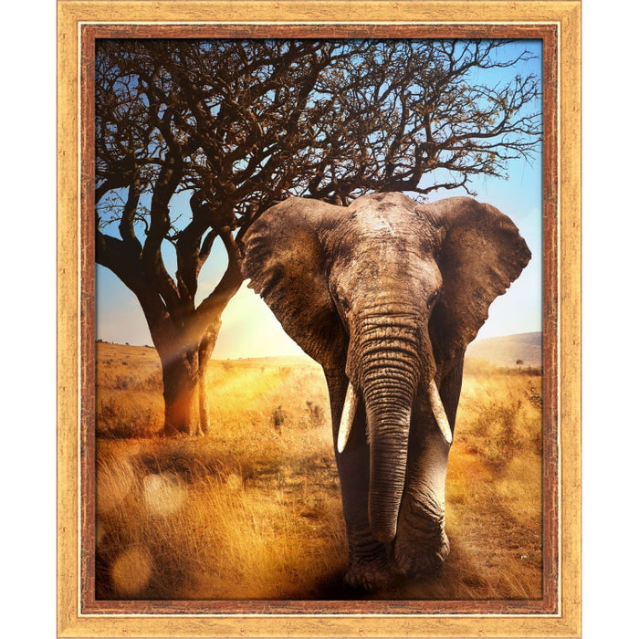 Diamond Painting Kit - AFRICAN ELEPHANT 40X50 CM AZ-1783